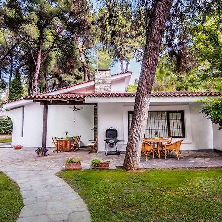Beautiful Holiday Villa In Sani Sani (Chalkidiki) Exterior foto