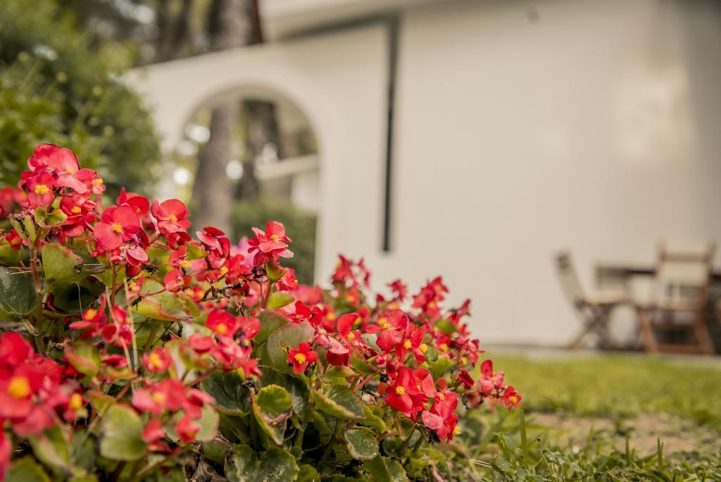 Beautiful Holiday Villa In Sani Sani (Chalkidiki) Exterior foto